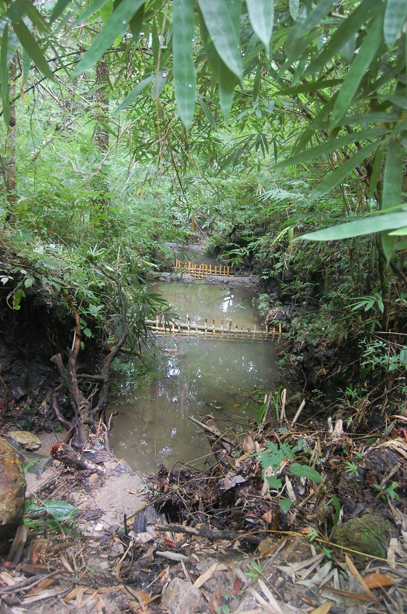 checkdam4